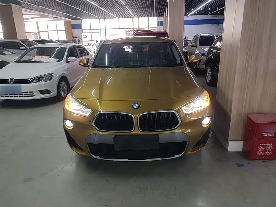 BMW X2