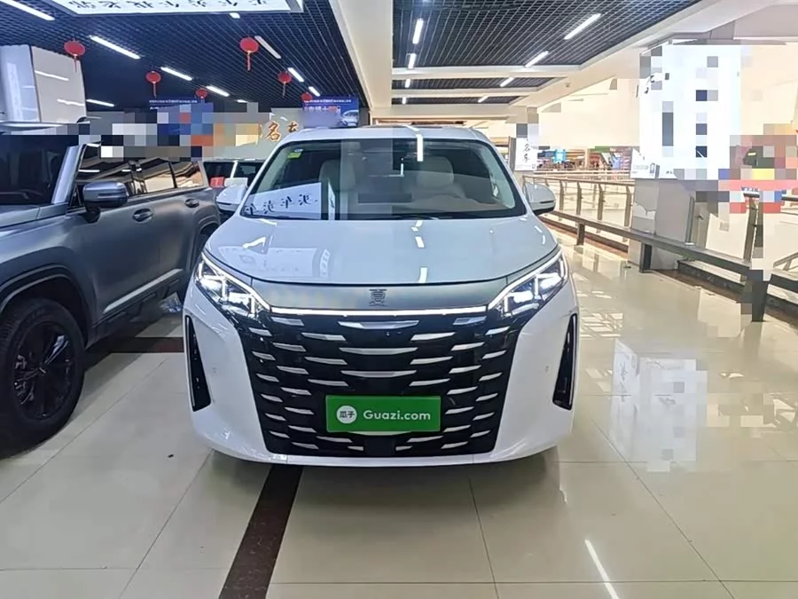BYD summer