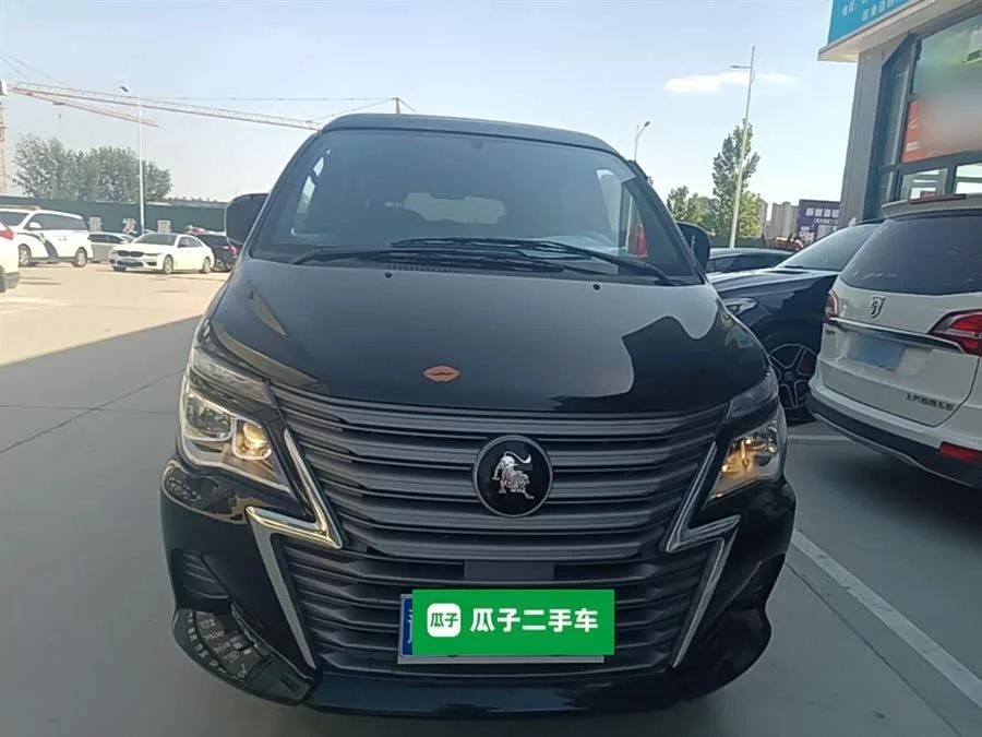 Dongfeng Lingzhi