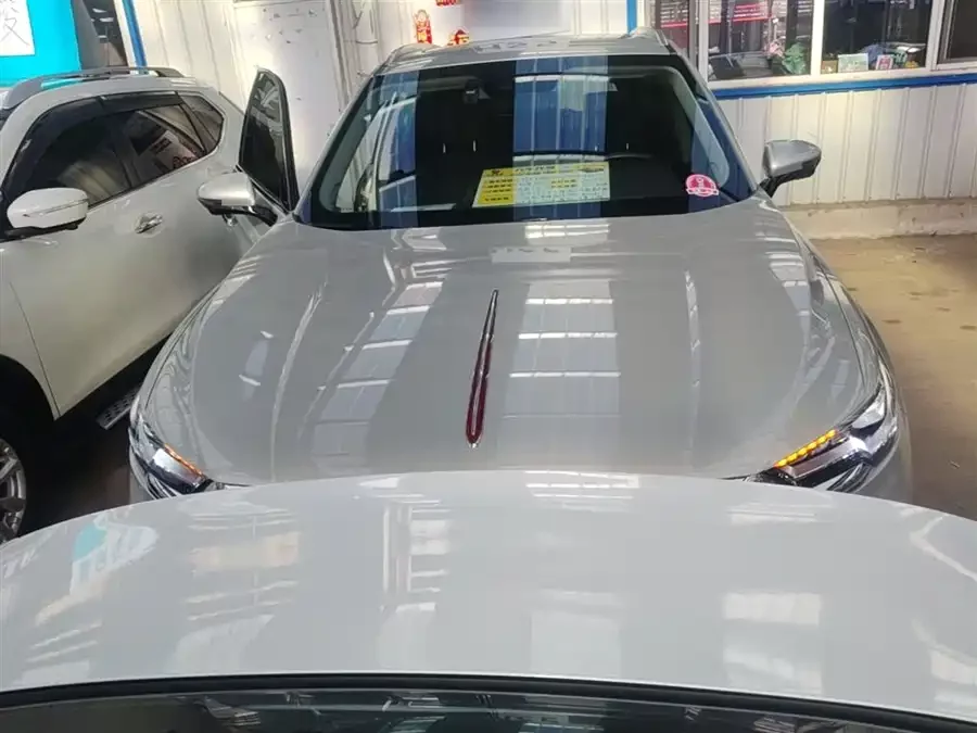 Hongqi HS5