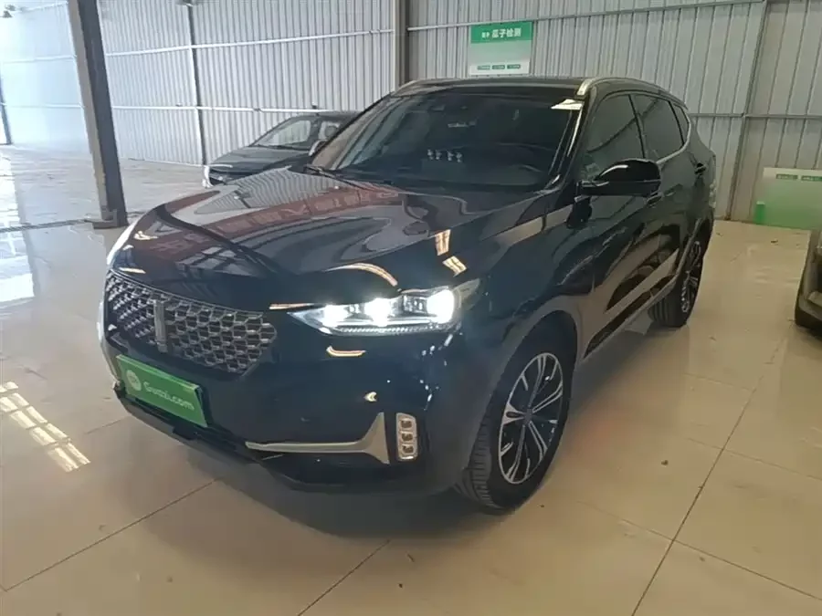 Wey VV6