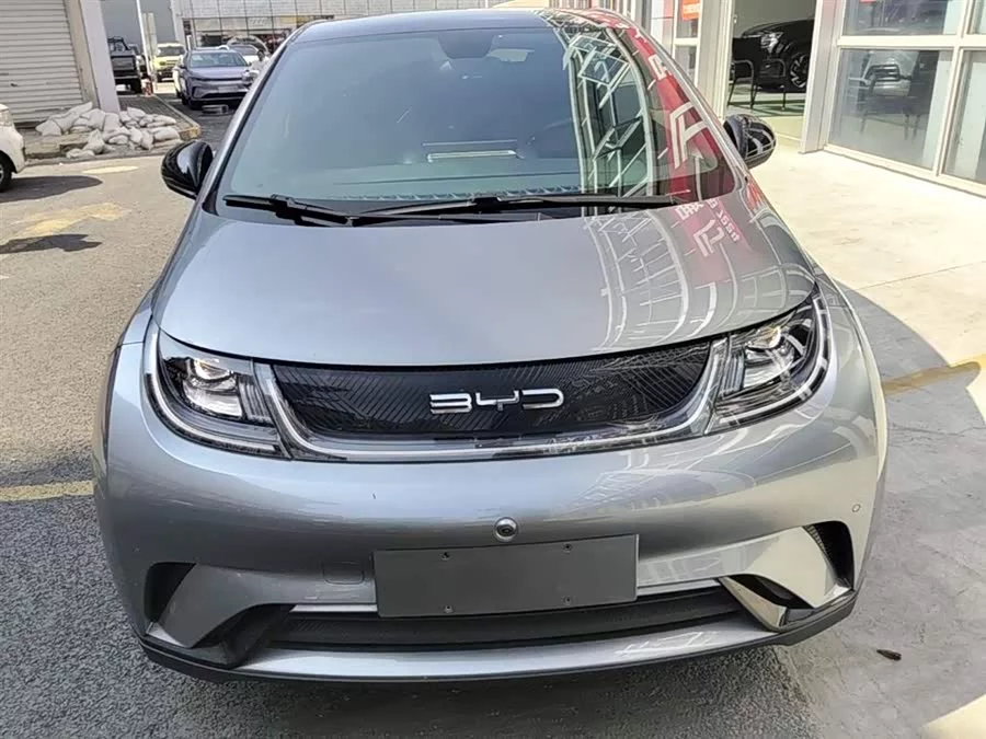 BYD Dolphin