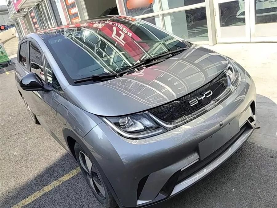 BYD Dolphin