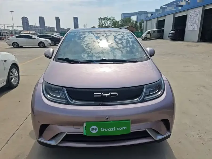 BYD Dolphin