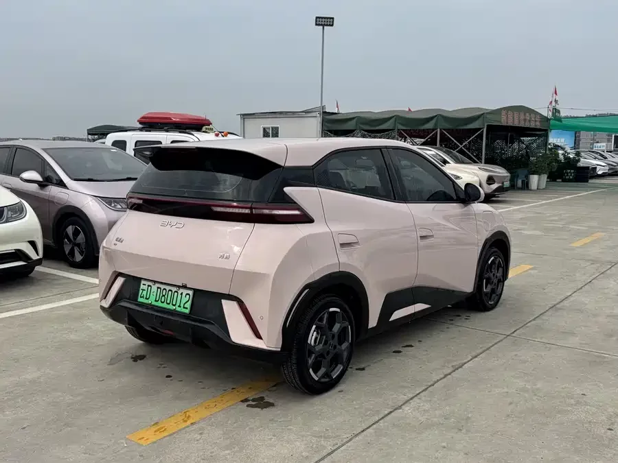 BYD Seagull