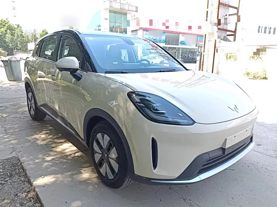 Wuling Bingo S