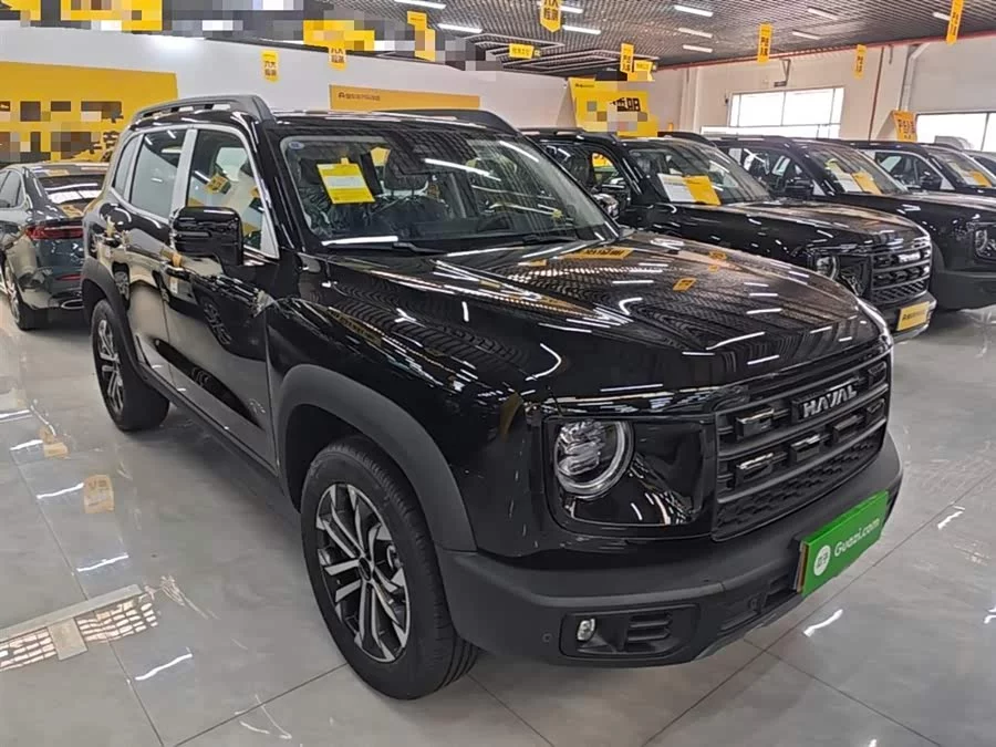 Haval Big Dog DaGou