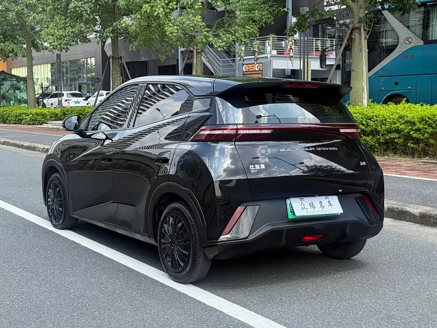 BYD Seagull