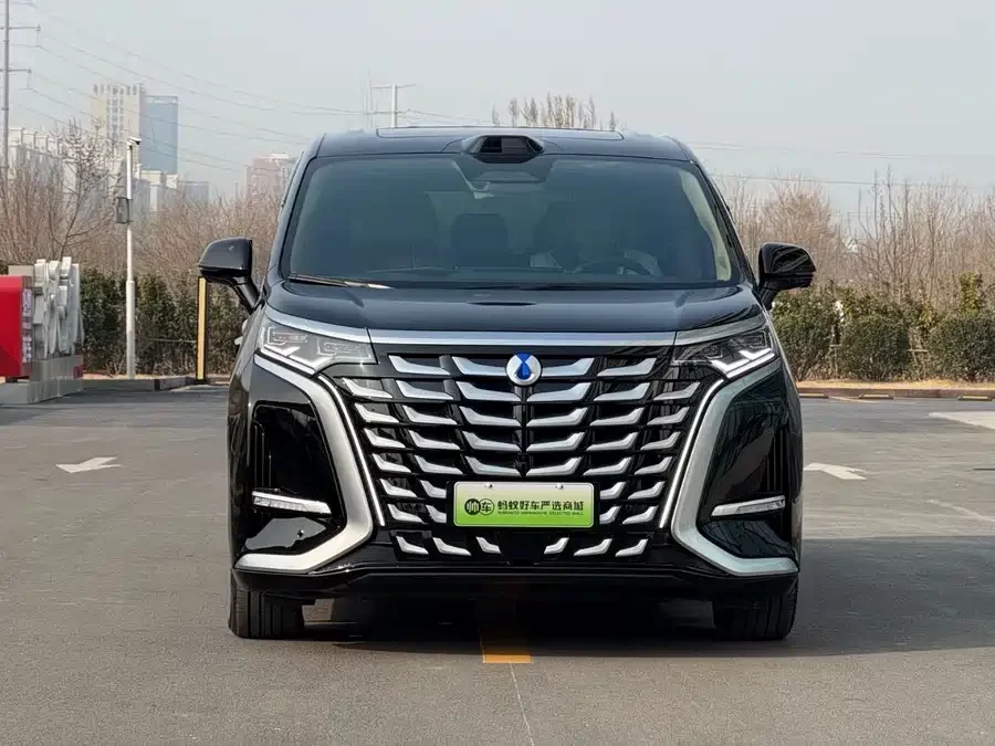 BYD D9