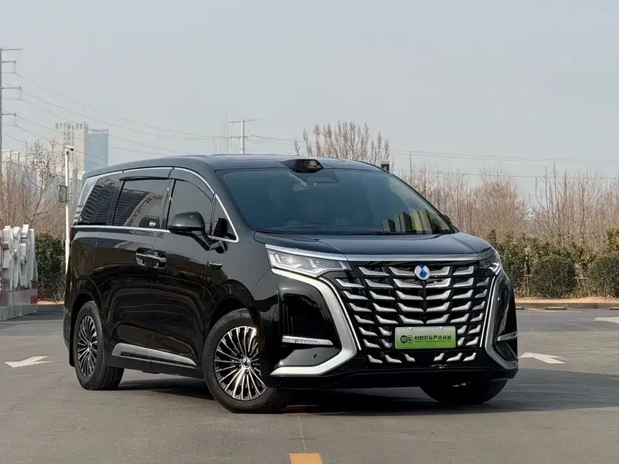 BYD D9