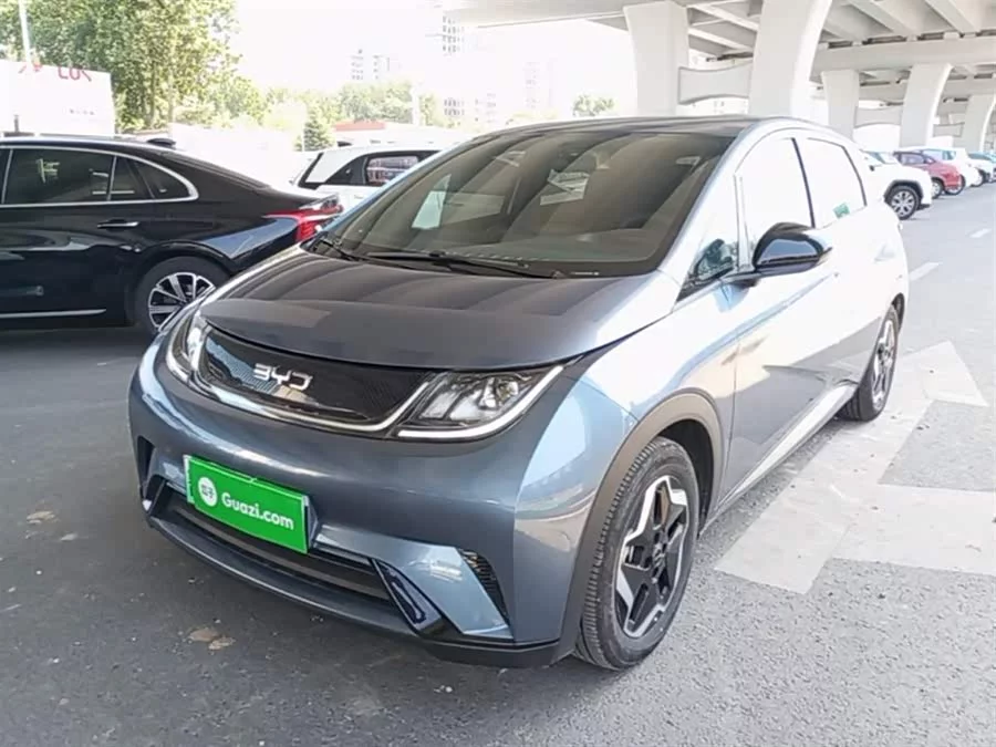BYD Dolphin