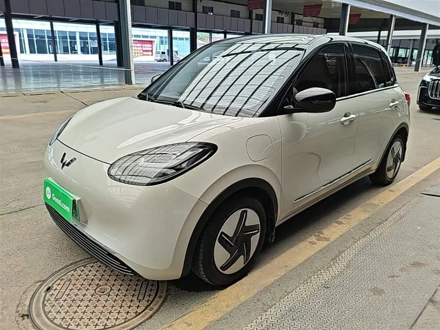 Wuling Bingo