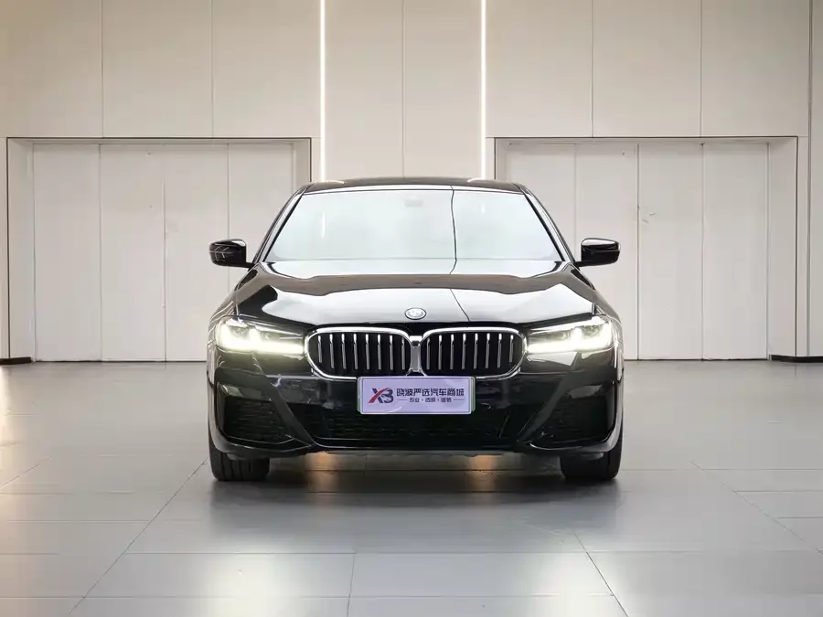 BMW 5 Series New Energy