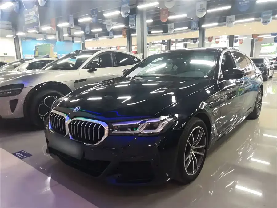 BMW 5 Series New Energy