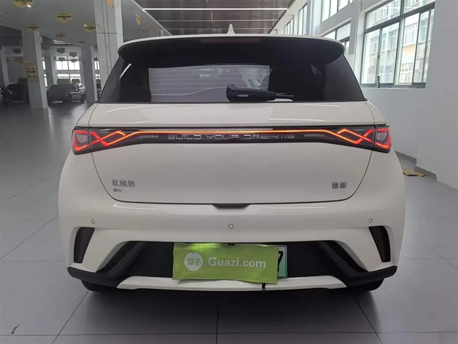 BYD Dolphin