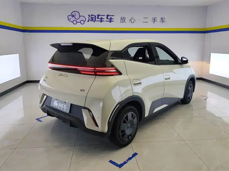BYD Seagull