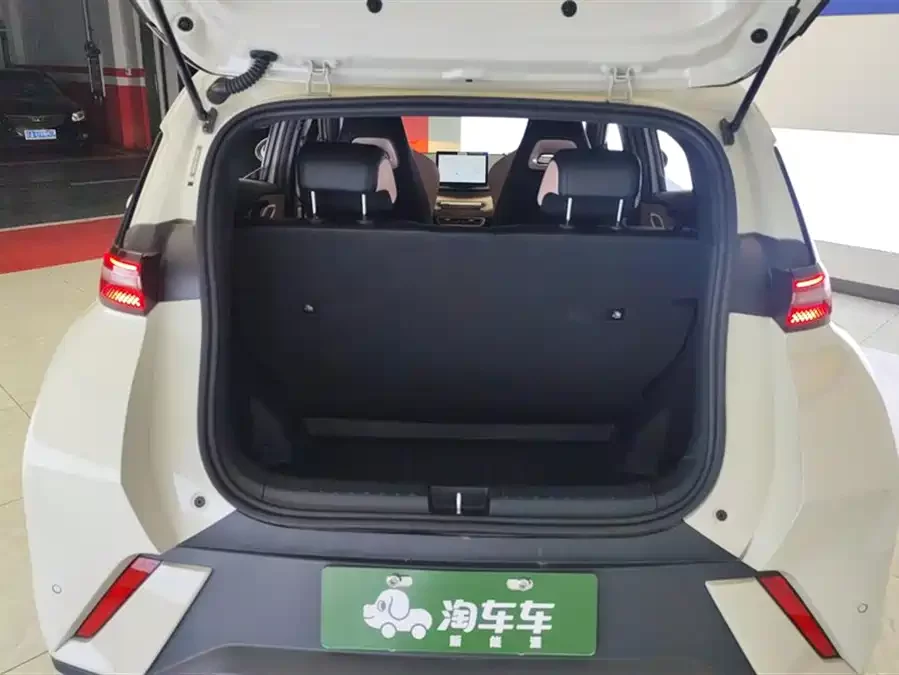BYD Seagull