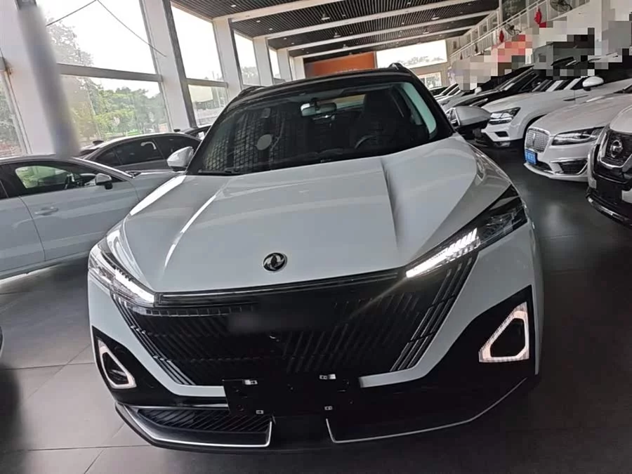 Dongfeng Haohan