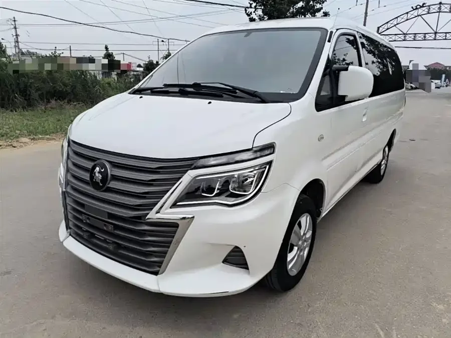 Dongfeng Lingzhi