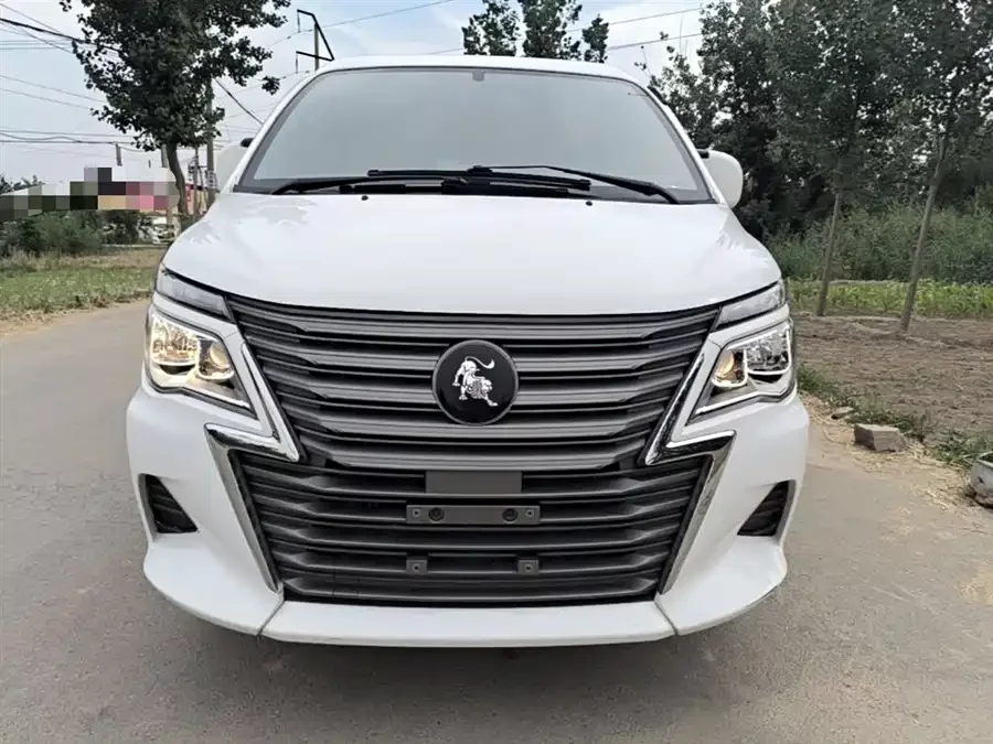 Dongfeng Lingzhi