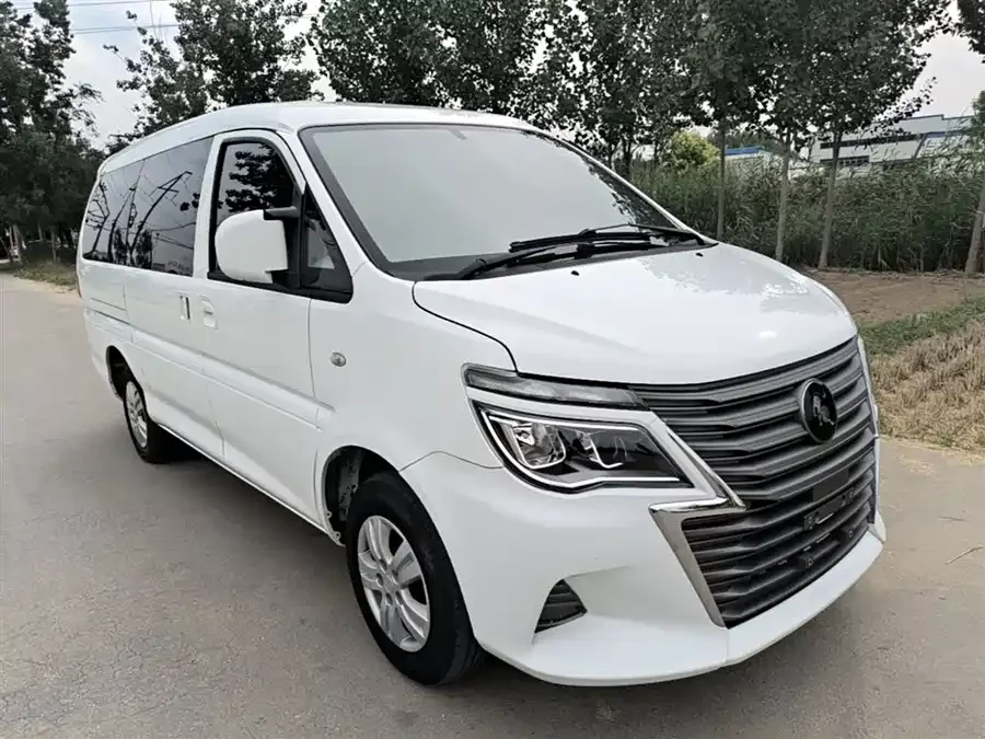 Dongfeng Lingzhi