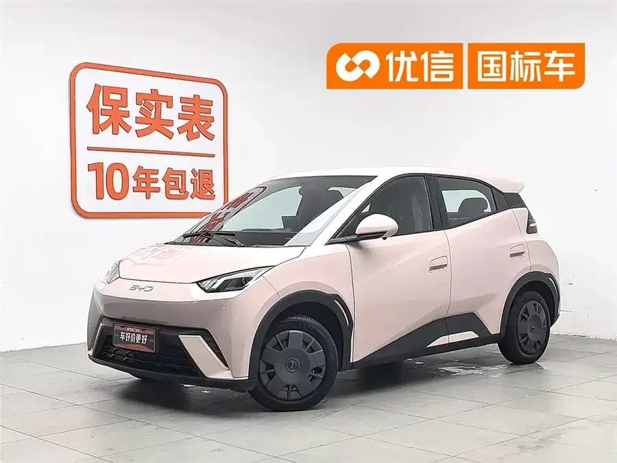 BYD Seagull