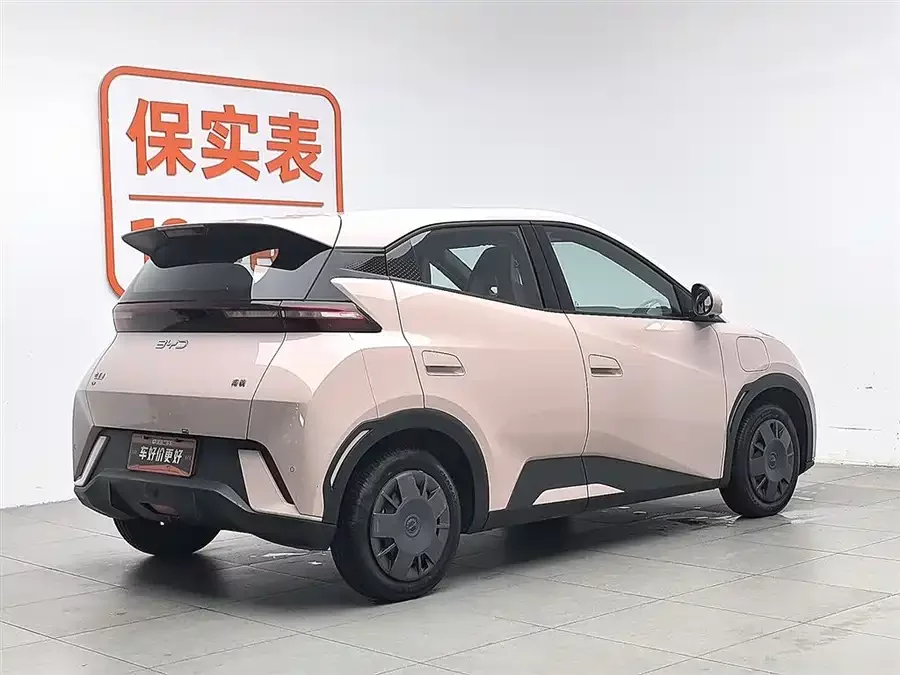 BYD Seagull