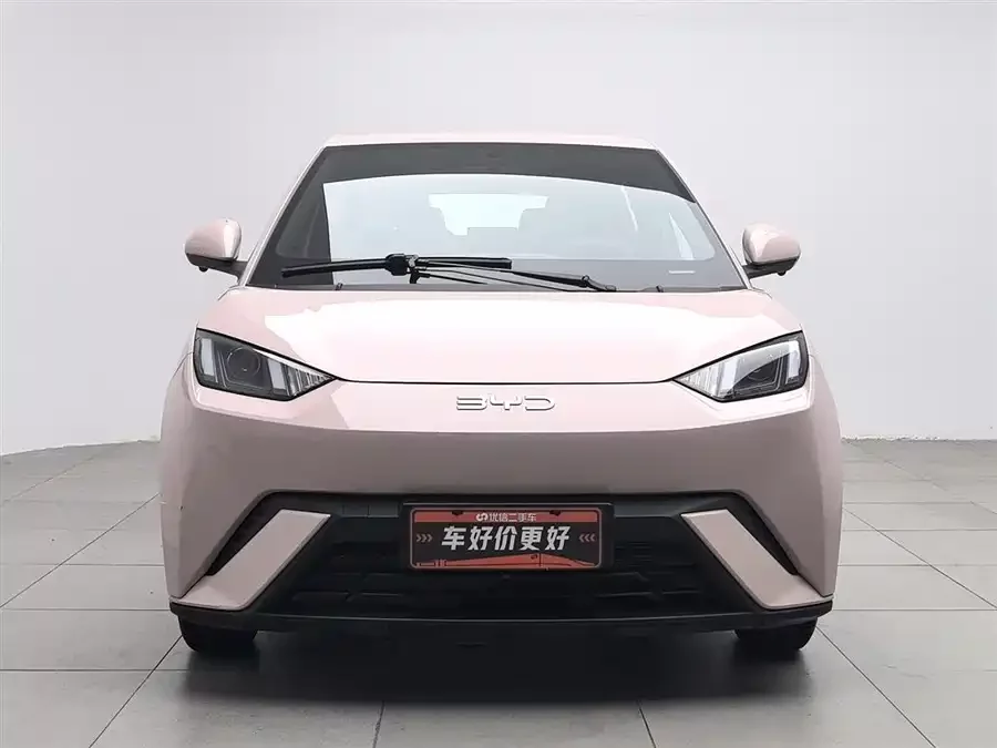 BYD Seagull