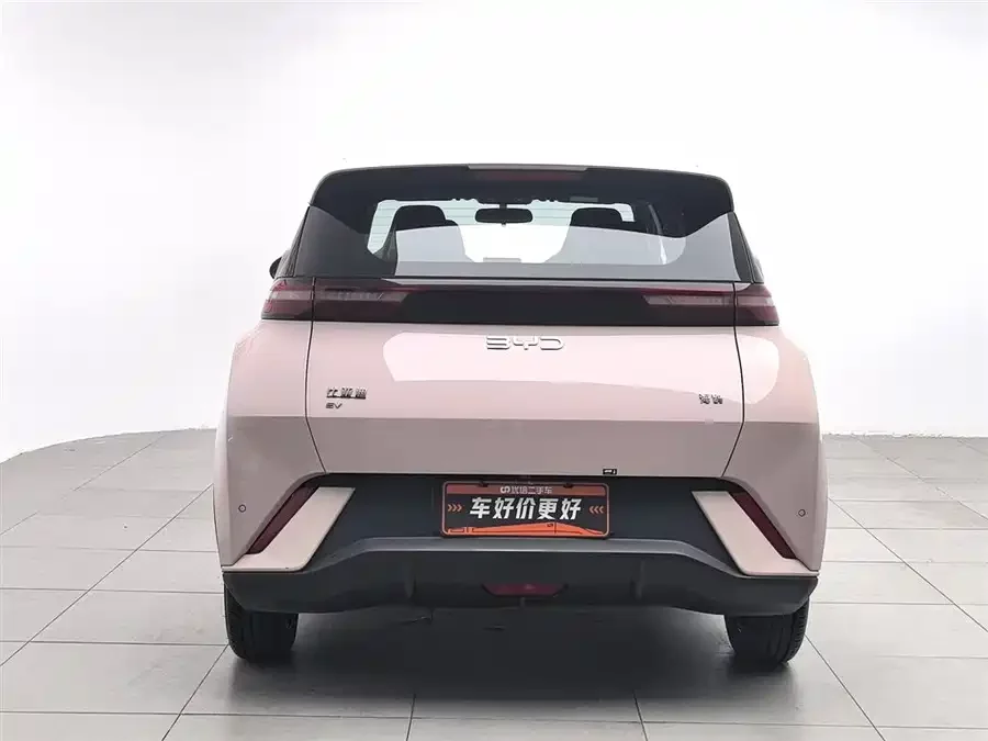 BYD Seagull