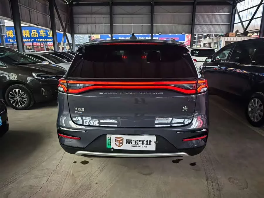 BYD Tang New Energy