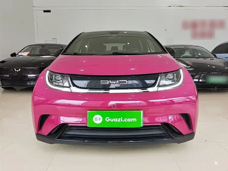 BYD Dolphin