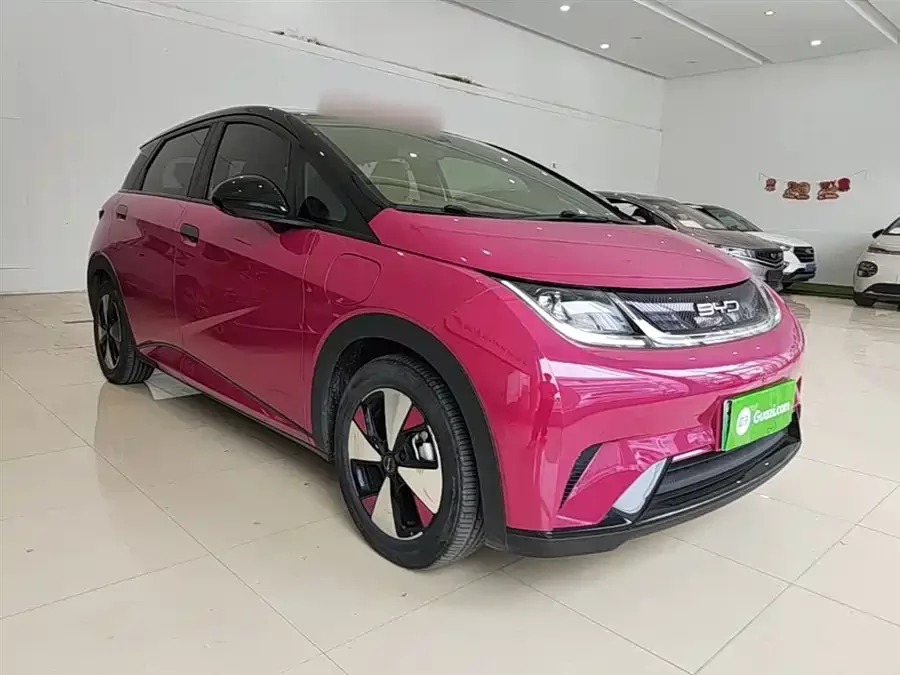 BYD Dolphin