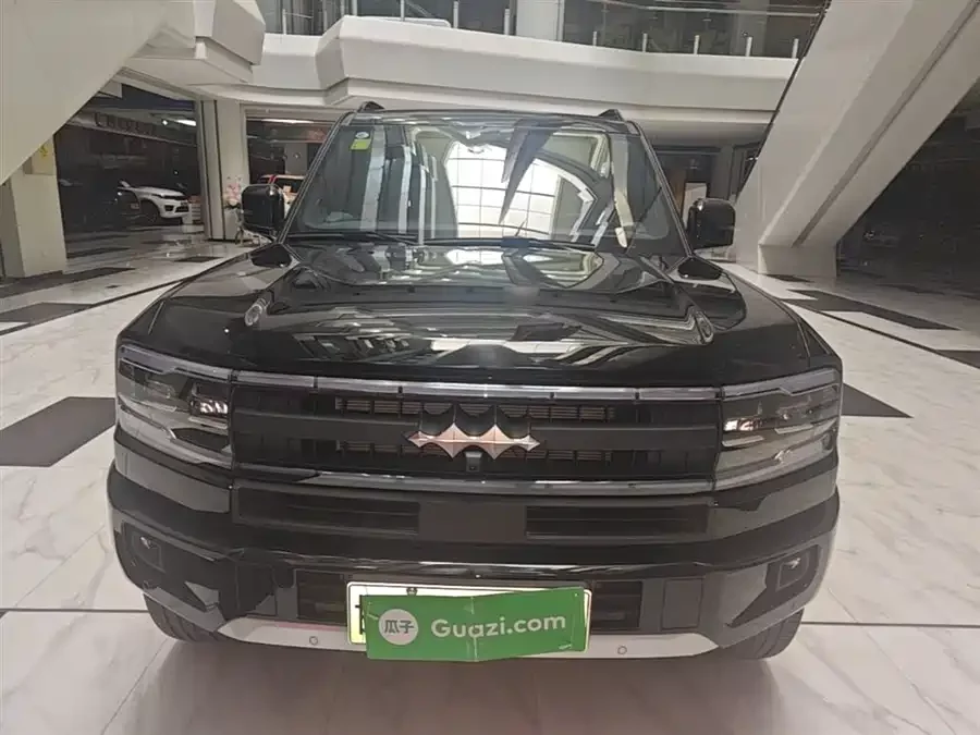 BYD Leopard Leopard 5