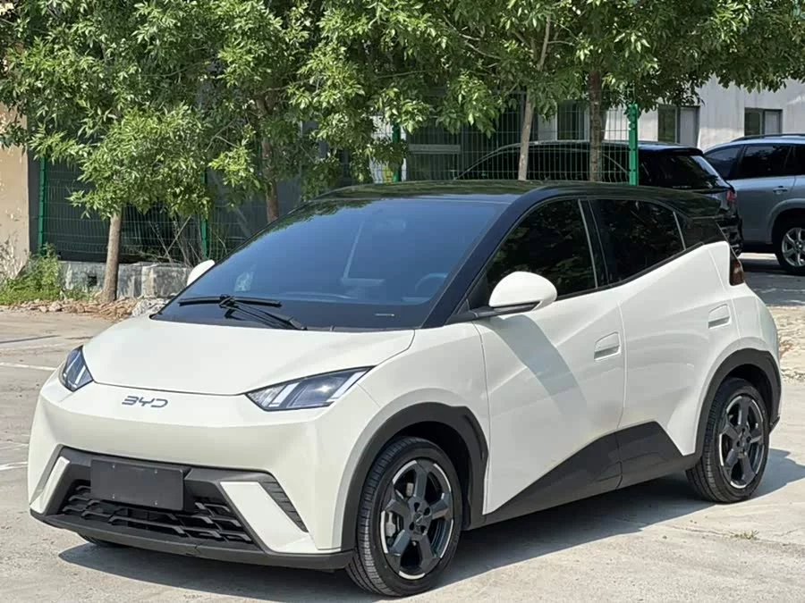 BYD Seagull