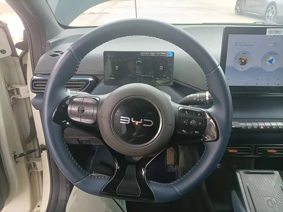 BYD Seagull
