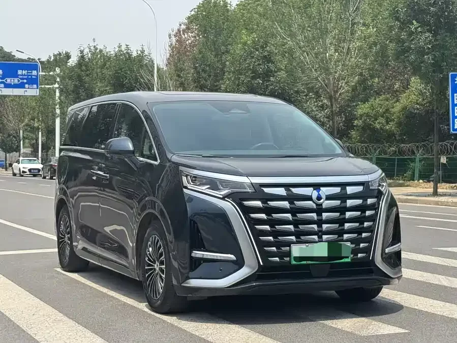 BYD D9