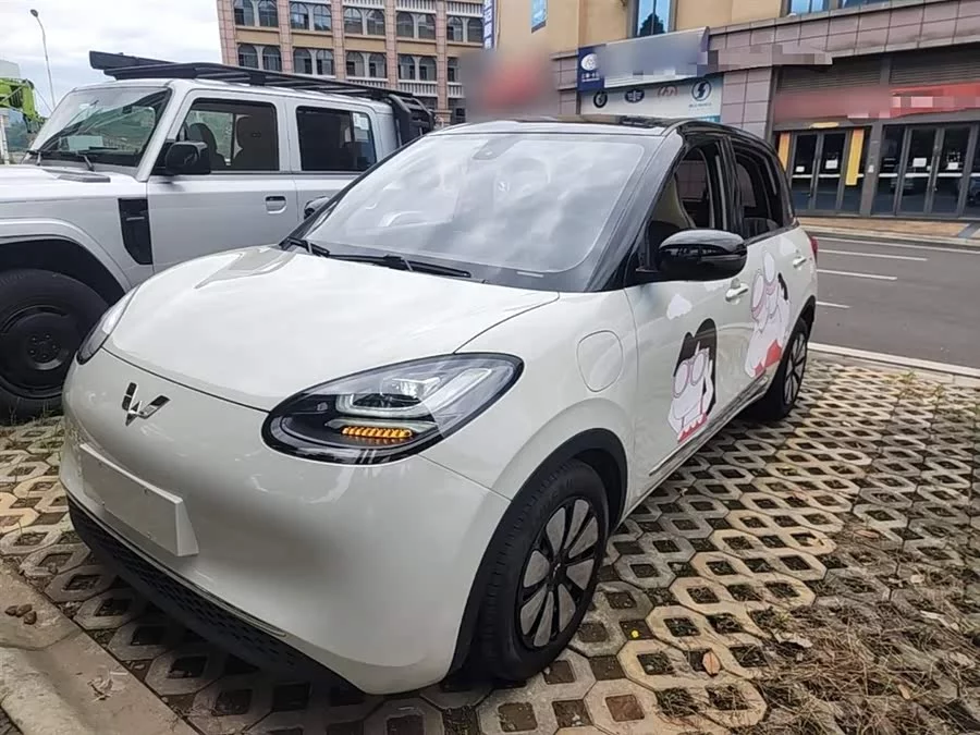 Wuling Bingo