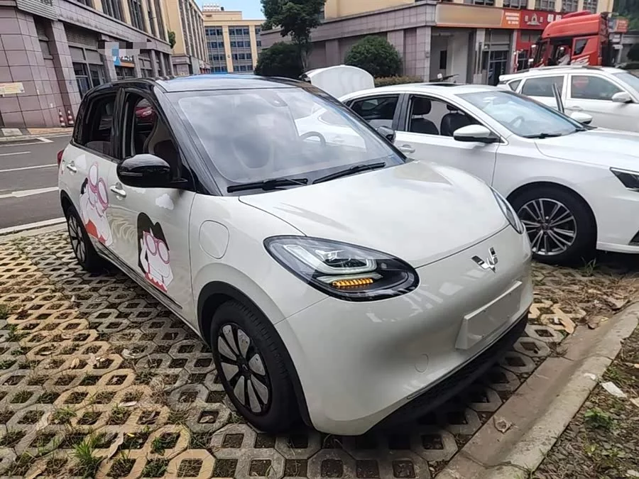 Wuling Bingo