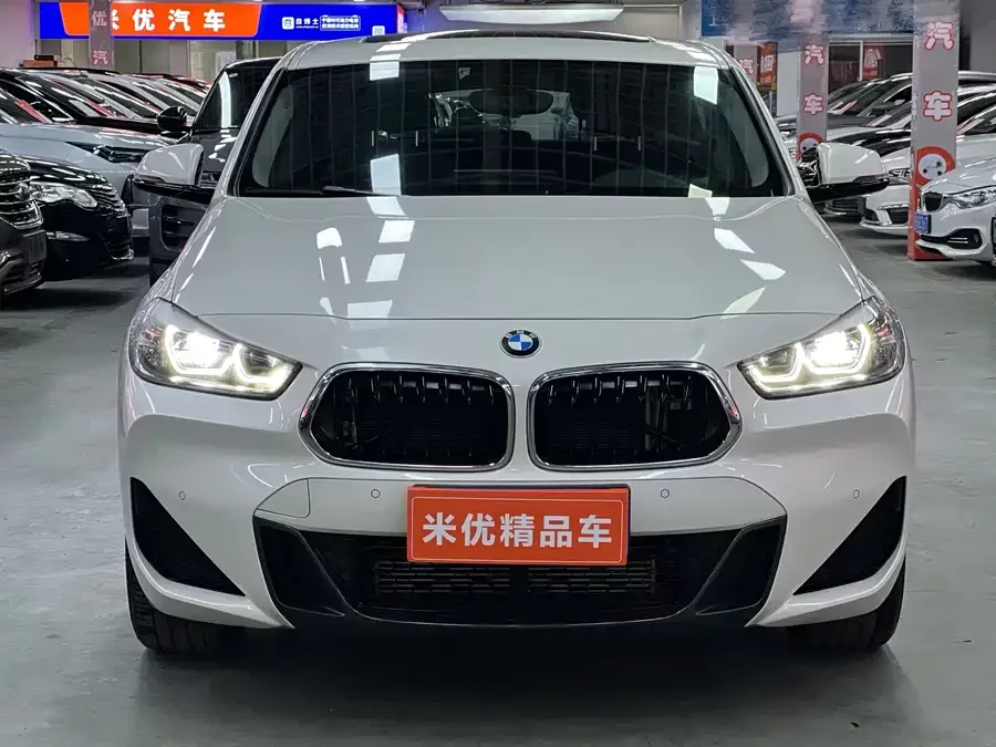 BMW X2