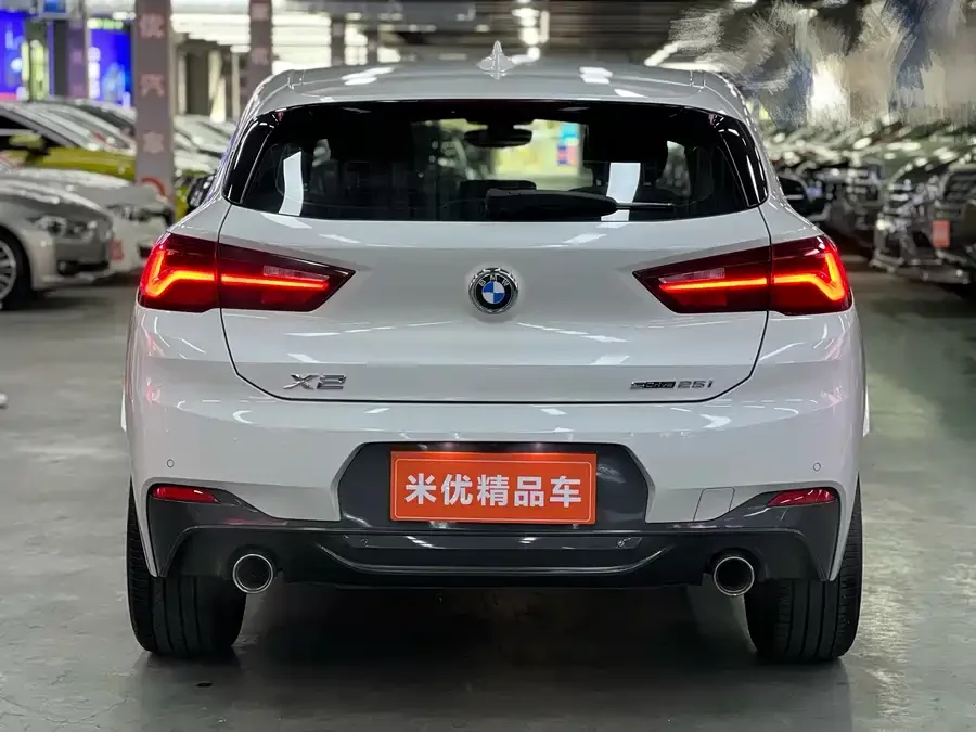 BMW X2