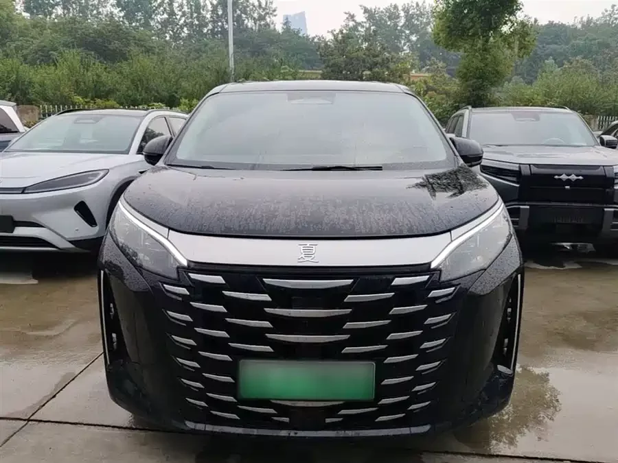 BYD summer