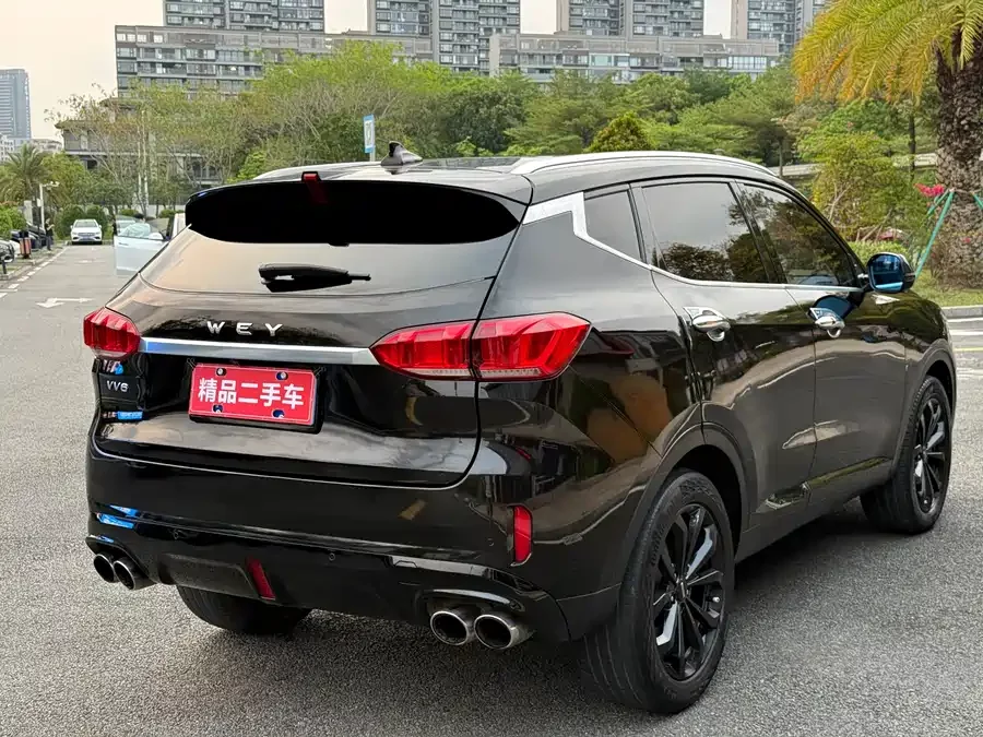 Wey VV6