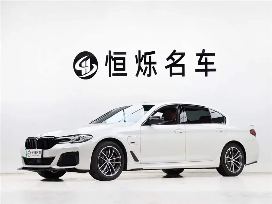 BMW 5 Series New Energy