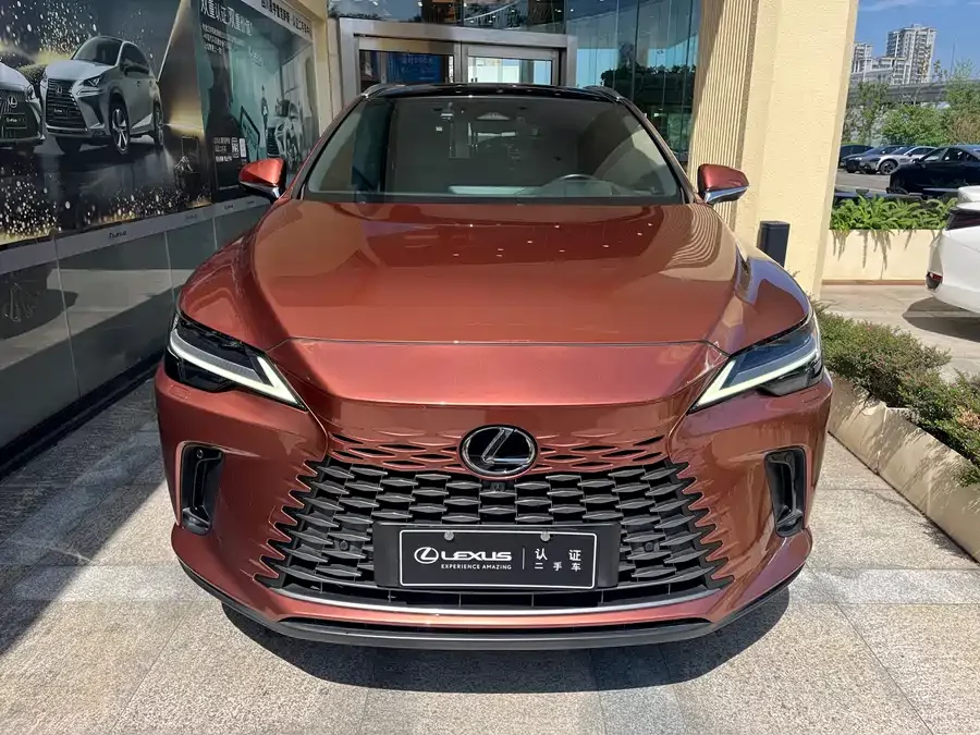 Lexus RX New Energy
