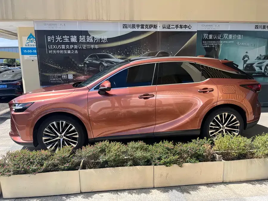 Lexus RX New Energy