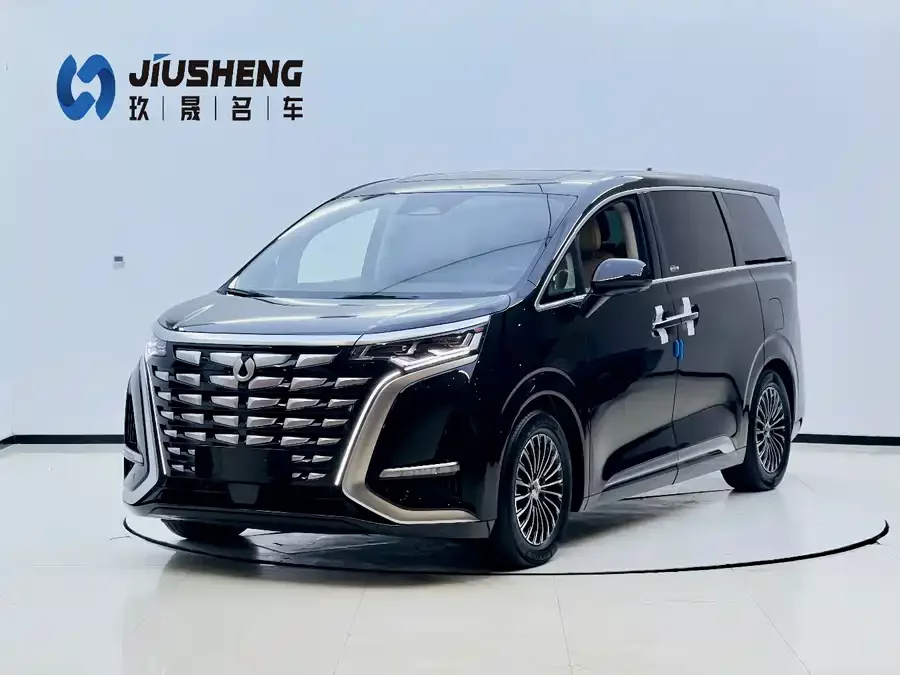 BYD D9