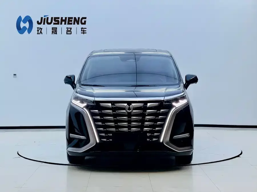 BYD D9