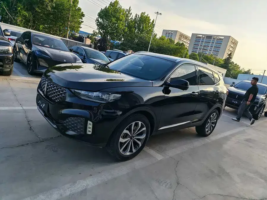 Wey VV6