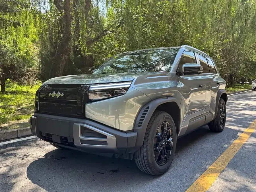 BYD Leopard Titanium 3