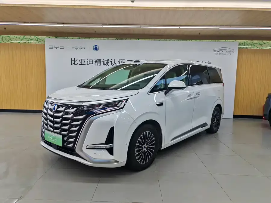 BYD D9